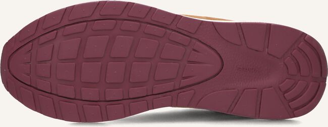 Multi THE HOFF BRAND Lage sneakers PUDONG Multi THE HOFF BRAND Lage sneakers PUDONG - large