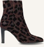 NOTRE-V 18236 Bottines en marron NOTRE-V 18236 Bottines en marron - medium