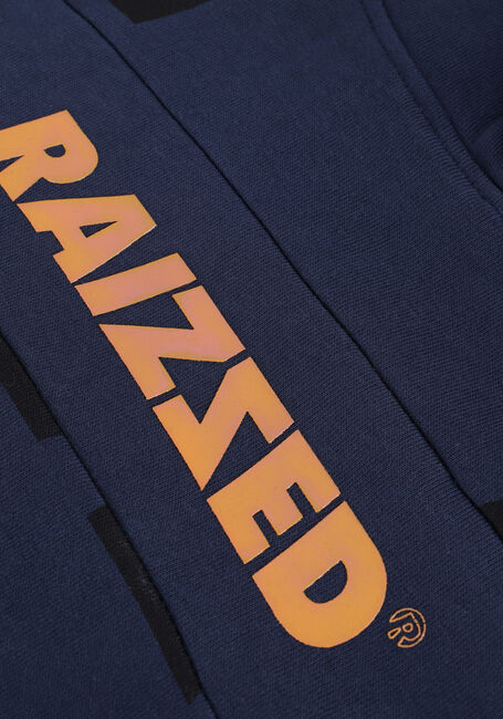 Donkerblauwe RAIZZED Sweater WORTH - large