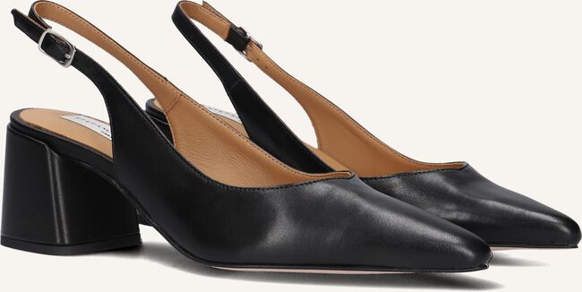 Zwarte STEFANO LAURAN  1YUCCA102 Zwarte STEFANO LAURAN  1YUCCA102 - large