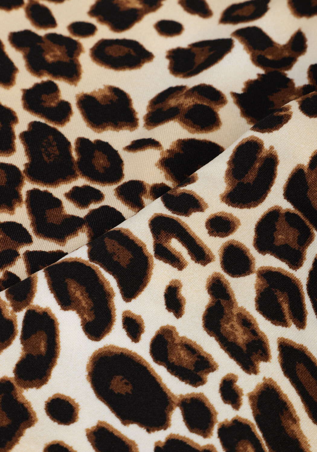 Salty Stitch Pantalon &eacute;vas&eacute; PANTER LOVER FLARED LEGGING en marron - large