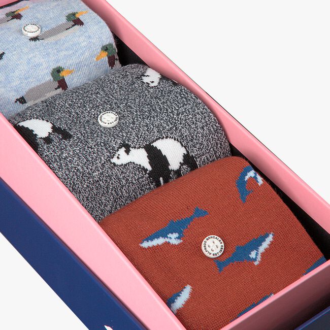 ALFREDO GONZALES ANIMALS BOX Chaussettes en multicolore - large