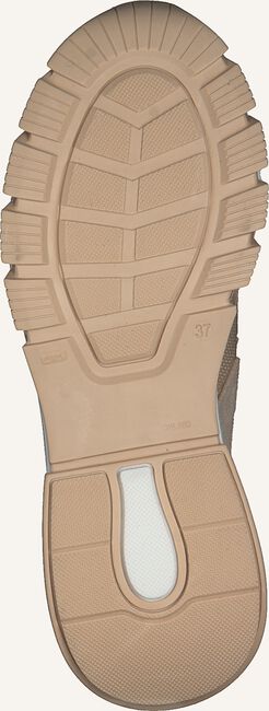 Beige TORAL Lage sneakers 11101 Beige TORAL Lage sneakers 11101 - large