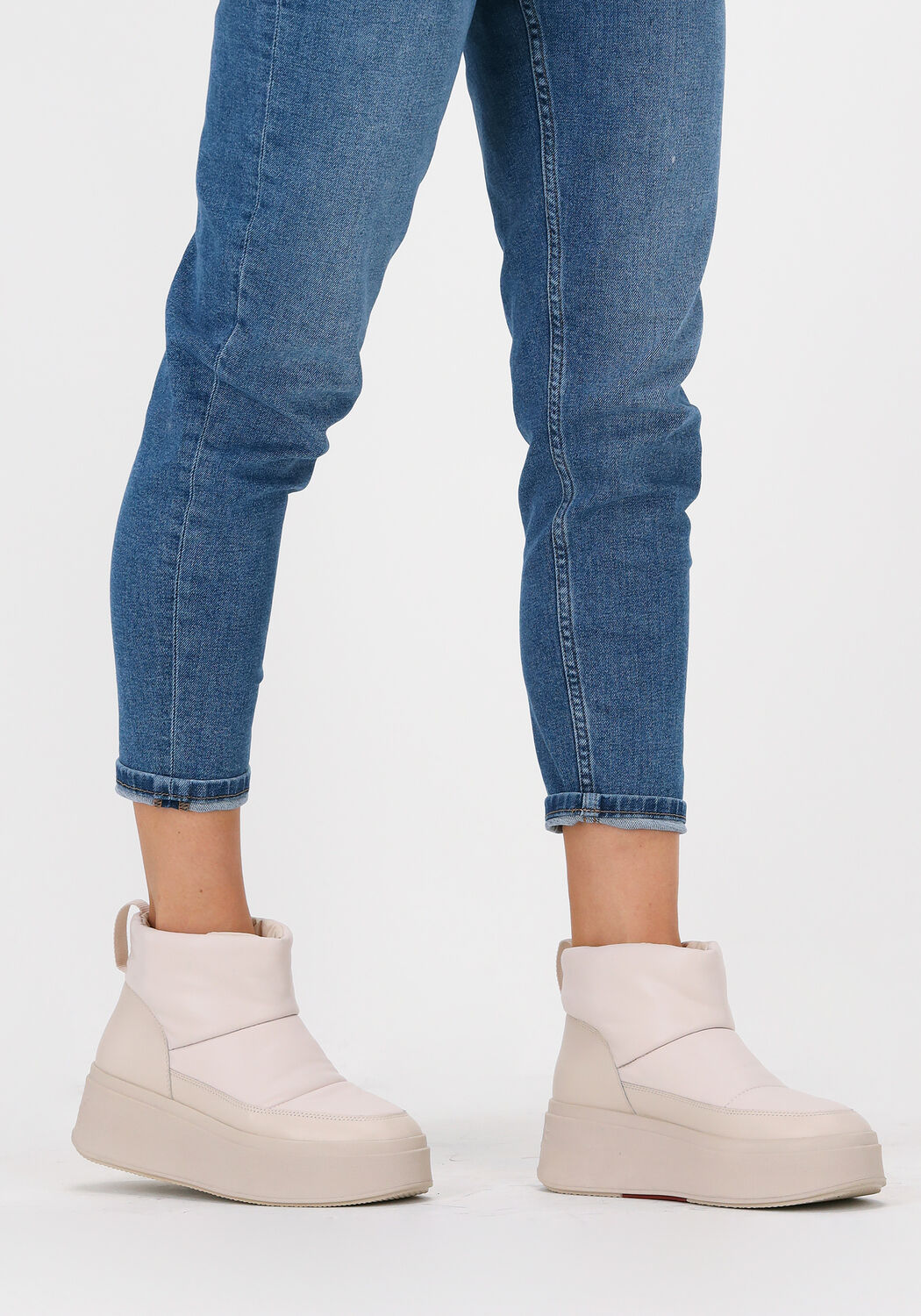 Beige ASH  MAXIBIS03 - large