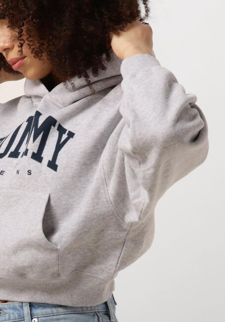 TOMMY JEANS Pull TJW VTG VARSITY 1 HOODIE Gris clair - large