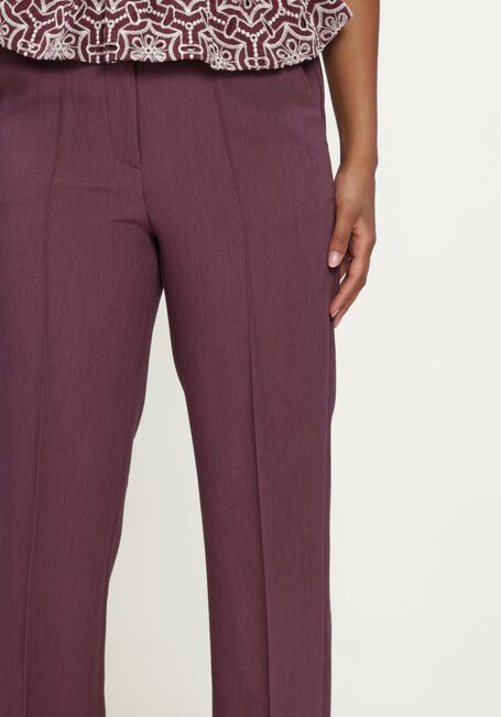 AAIKO Pantalon CHANTALLE R PES 345 Bordeaux - large