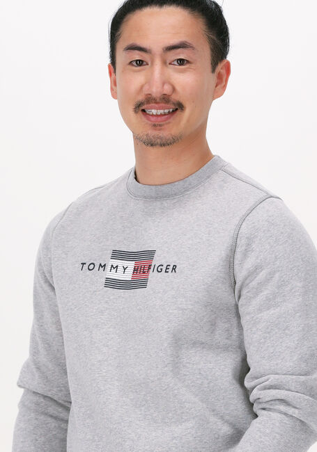 TOMMY HILFIGER Chandail LINES HILFIGER CREWNECK Gris clair - large