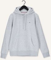 Lichtgrijze TOMMY JEANS Sweater TJM REGULAR FLEECE HOODIE Lichtgrijze TOMMY JEANS Sweater TJM REGULAR FLEECE HOODIE - medium