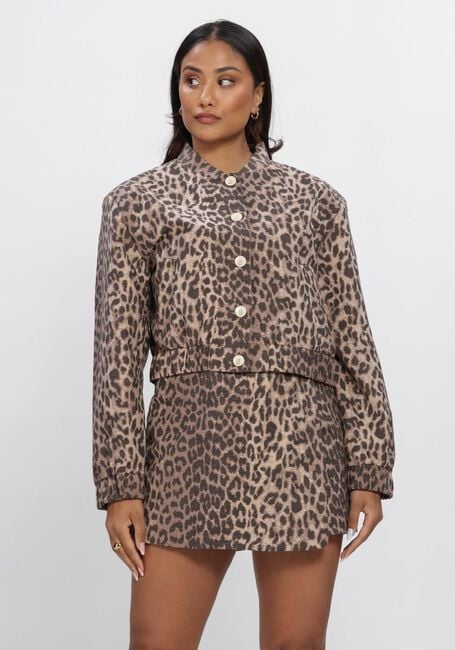 Bruine JOSH V Jack NADINE - large