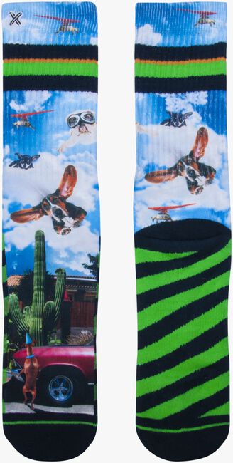 XPOOOS Chaussettes WHO'S FIRST en multicolore  - large
