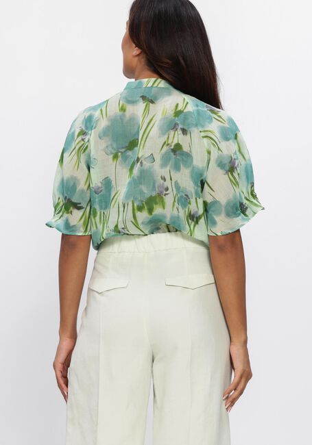Groene LUISA CERANO  238690/3833-00 - large