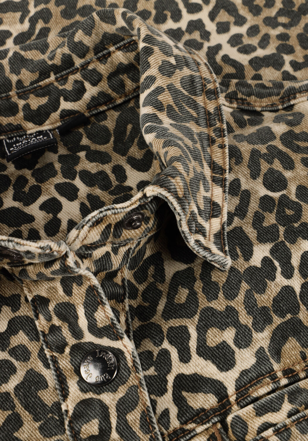 Bruine INDIAN BLUE JEANS Mini jurk DRESS - large