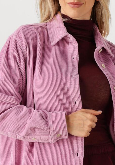 Roze AMERICAN VINTAGE  PADOW - large
