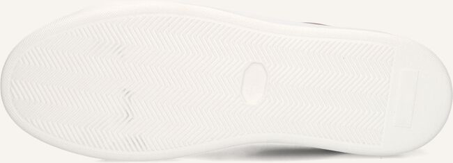 Taupe STEFANO LAURAN Sneakers STAR 006 Taupe STEFANO LAURAN Sneakers STAR 006 - large