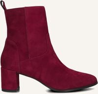 NOTRE-V 8543 - medium