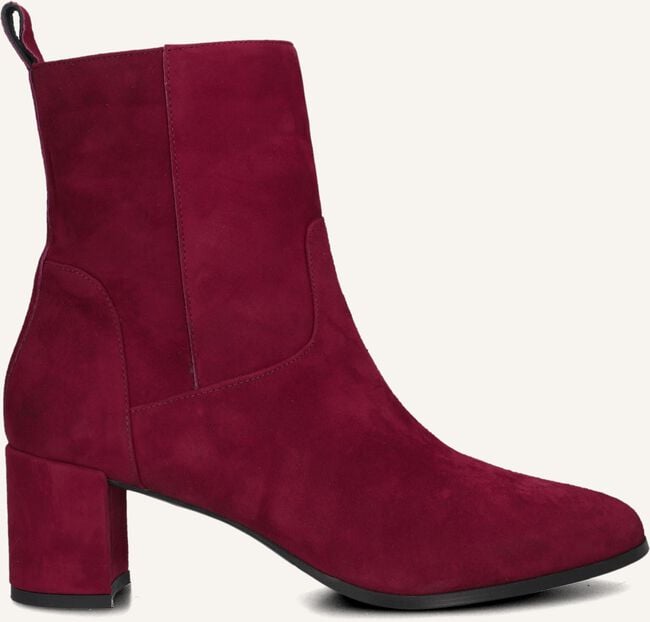 NOTRE-V 8543 NOTRE-V 8543 - large