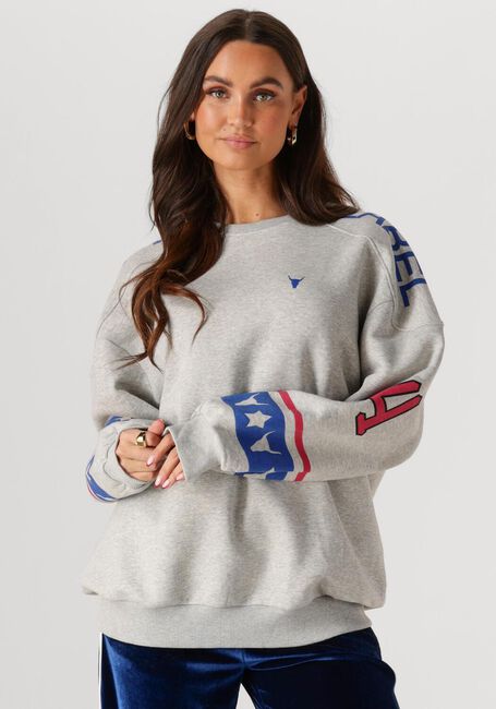 Grijze ALIX THE LABEL Sweater LADIES KNITTED SPORTS SWEATER - large