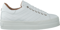 Witte VIA VAI Sneakers 4920101  - medium