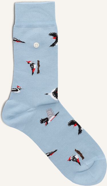 Blauwe ALFREDO GONZALES Beenmode WOODPECKERS Blauwe ALFREDO GONZALES Beenmode WOODPECKERS - large
