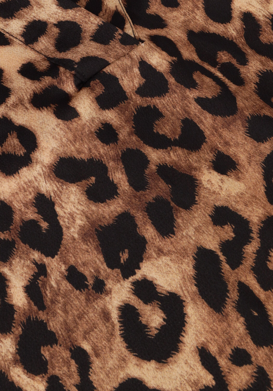 Bruine NEO NOIR  ROELLA LEO BLOUSE - large