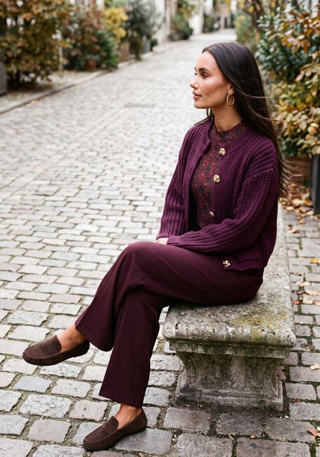 Bordeaux YDENCE Trui CARDIGAN IRENE - large