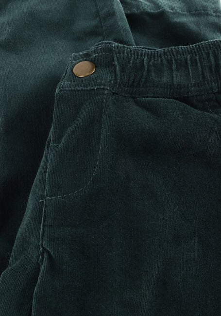 Donkergroene MR.LOUTRE Pantalon WILLIAM - large