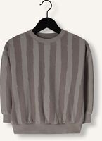 Taupe PLAY UP Sweater PRINTED FLEECE SWEATER P Taupe PLAY UP Sweater PRINTED FLEECE SWEATER P - medium