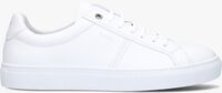 Witte VAN LIER Lage sneakers 2311068 - medium