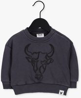 ALIX MINI Chandail TEENS KNITTED WASHED BULL SWEATER en gris
