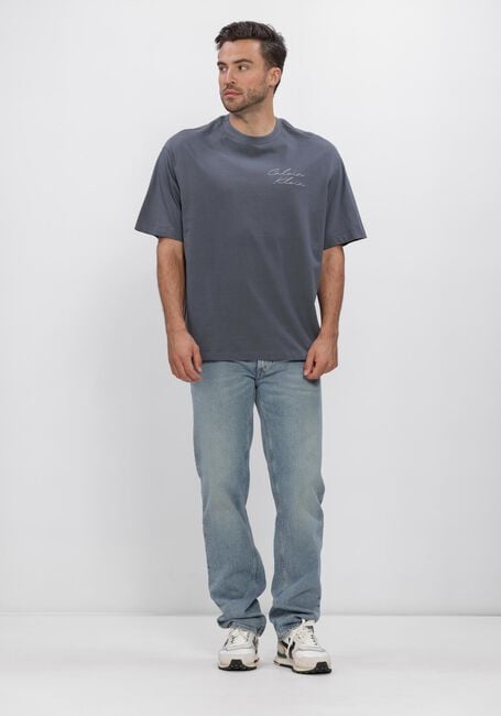 Grijze CALVIN KLEIN T-shirt 16S APRIL GRAPHIC SEASONAL FASHI - large