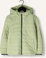 Groene RAIZZED Jack THEODORE Groene RAIZZED Jack THEODORE - medium