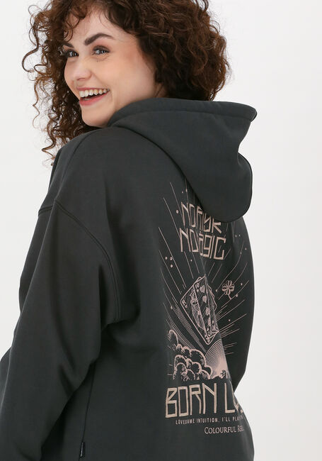 COLOURFUL REBEL Chandail BORN LUCKY EMBRO OVERSIZED HOO en gris - large