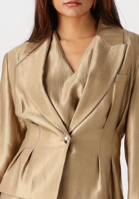 Gouden AAIKO Blazer JASMIN VIS 512 - large