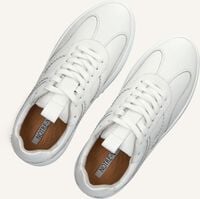 NOTRE-V ANEMONE-63 NOTRE-V ANEMONE-63 - medium