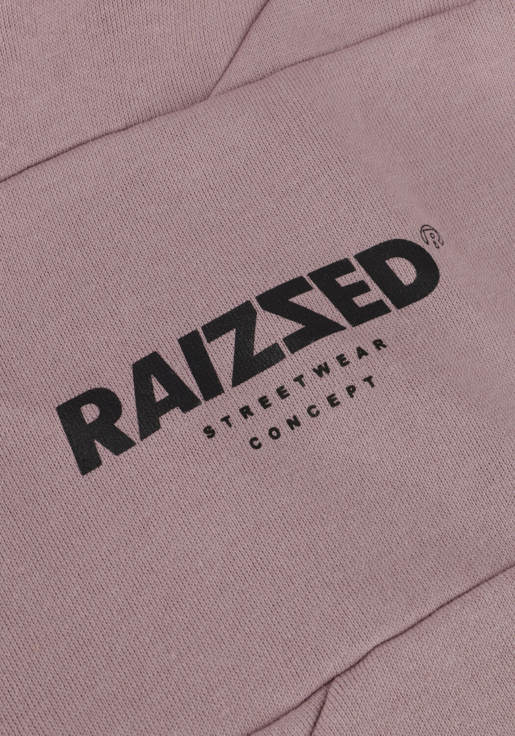 RAIZZED Chandail DJURRE en rose - large