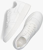 Witte COPENHAGEN STUDIOS CPH463 Lage sneakers - medium
