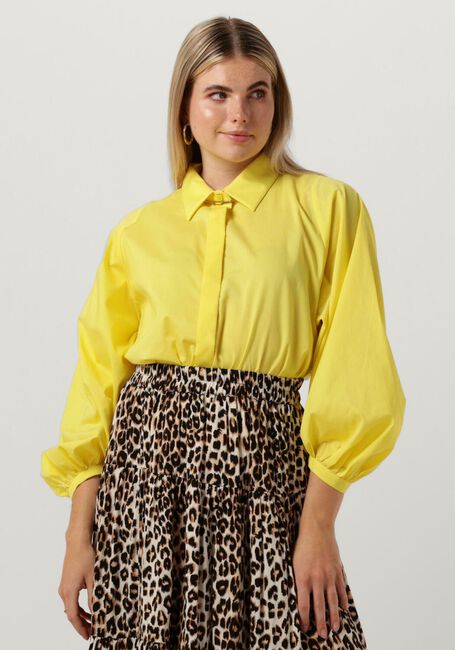Gele SILVIAN HEACH  GPP23502CA - large