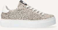 Beige MARUTI Sneakers TED - medium