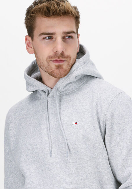 TOMMY JEANS Chandail TJM REGULAR FLEECE HOODIE Gris clair - large
