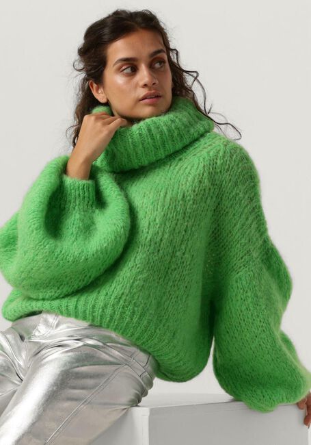 Groene AMERICAN DREAMS Coltrui PEPPER ROLL NECK CROPPED - large