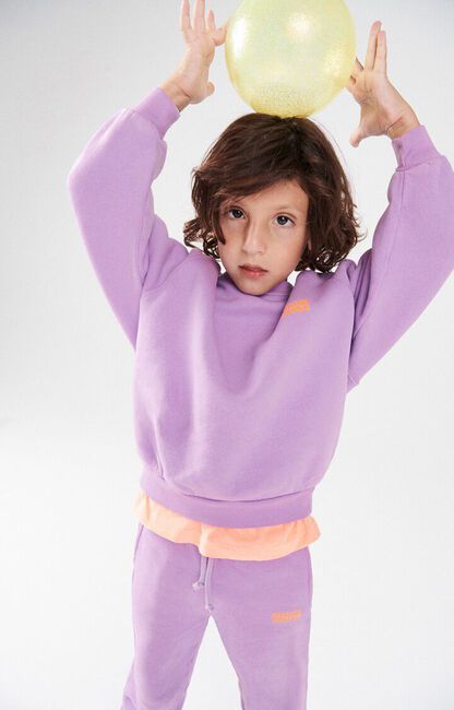 AMERICAN VINTAGE Pull IZUBIRD en violet - large