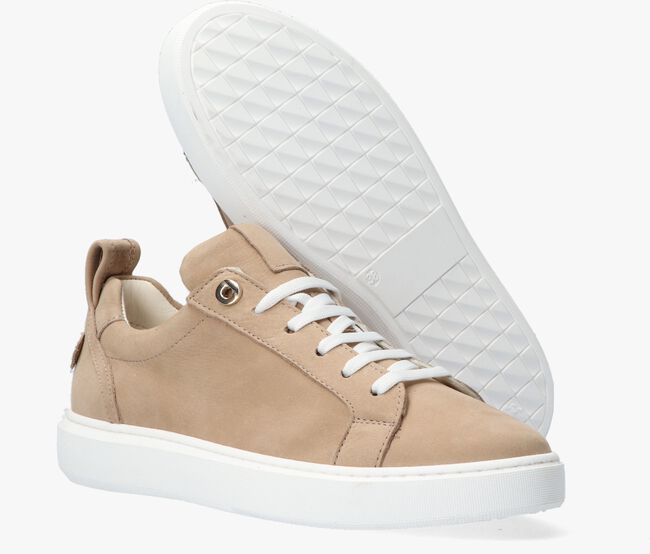 Taupe NOTRE-V Lage sneakers 02-15 - large