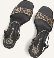 Bruine UNISA Sandalen MORATY Bruine UNISA Sandalen MORATY - medium