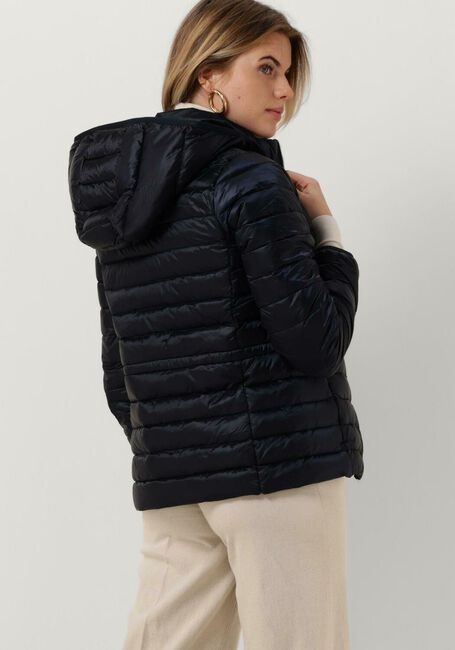 Donkerblauwe TOMMY HILFIGER Gewatteerde jas FEMININE LW DOWN JACKET - large