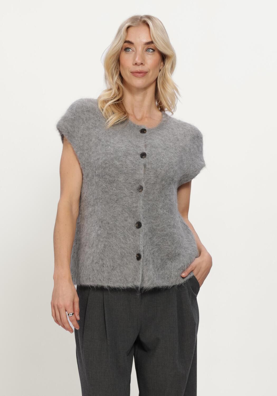 Grijze MSCH COPENHAGEN Top MSCHTILA SALMIA VEST