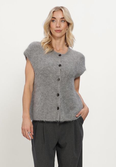 Grijze MSCH COPENHAGEN Top MSCHTILA SALMIA VEST - large