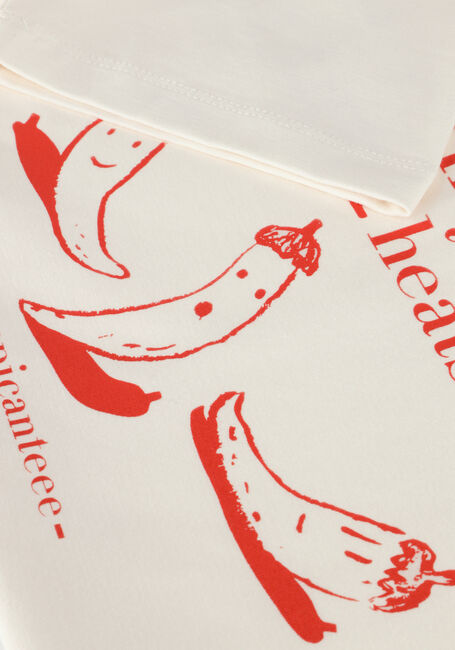 Witte AMMEHOELA T-shirt KIT Witte AMMEHOELA T-shirt KIT - large