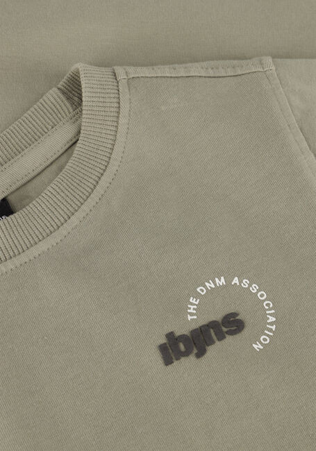 INDIAN BLUE JEANS T-shirt T-SHIRT DNM ACC Sable - large