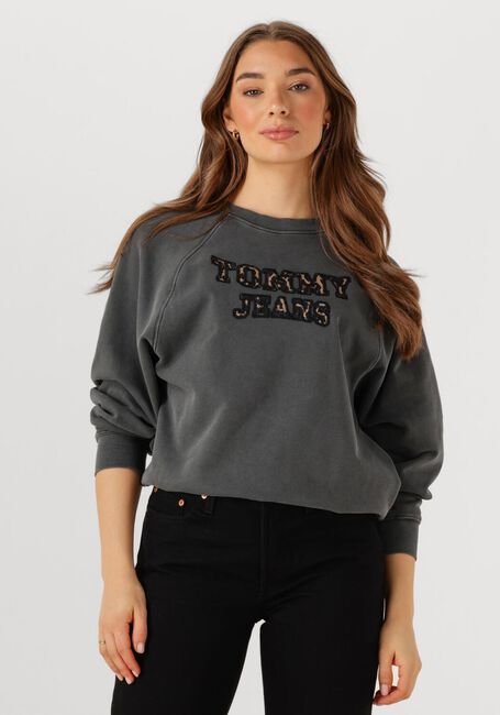 Donkergrijze TOMMY JEANS Trui TJW BXY LEOPARD VARSITY CREW - large