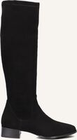 STEFANO LAURAN 15180 STEFANO LAURAN 15180 - medium